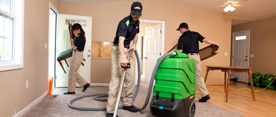 Media, PA cleaning services